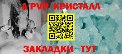 спиды Бердск