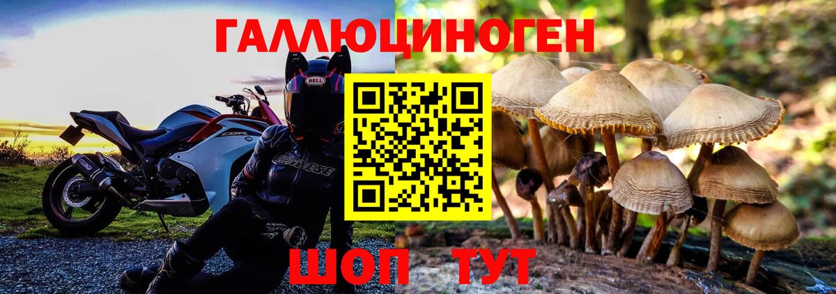 Галлюциногенные грибы мухоморы  Вход с VPN  Галлюциногенные грибы MAGIC MUSHROOMS  Верхняя Салда 